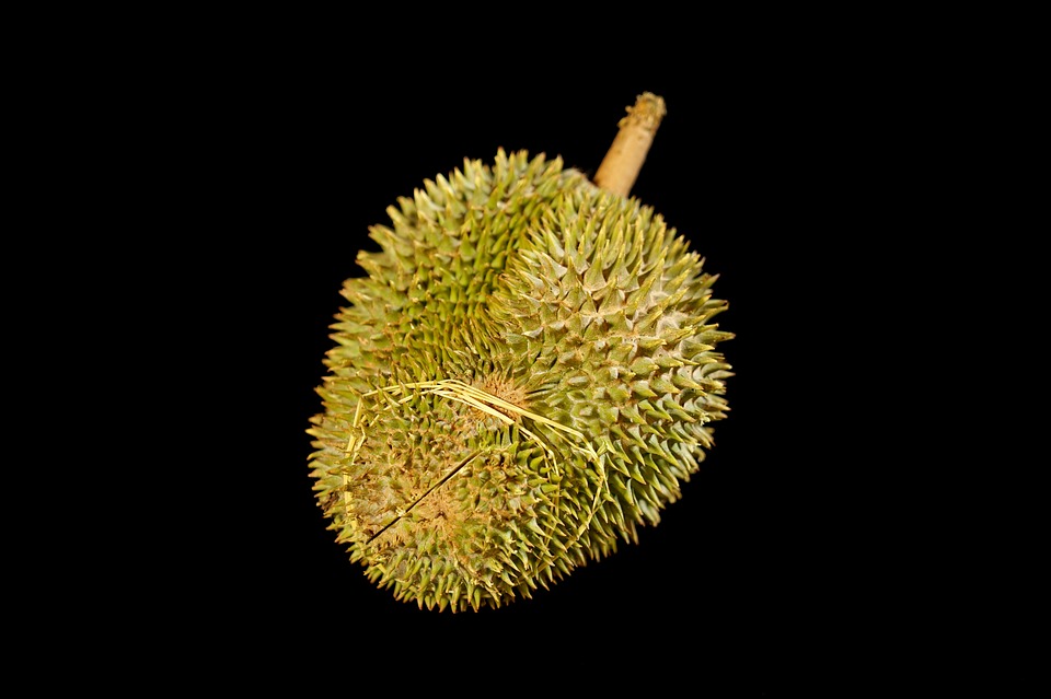 Di Balik Manfaat Biji Durian